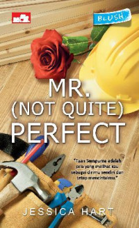 Image of MR. (NOT QUITE) PERFECT